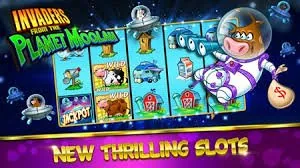 tipsterchat Casino en vivo los fines de semana